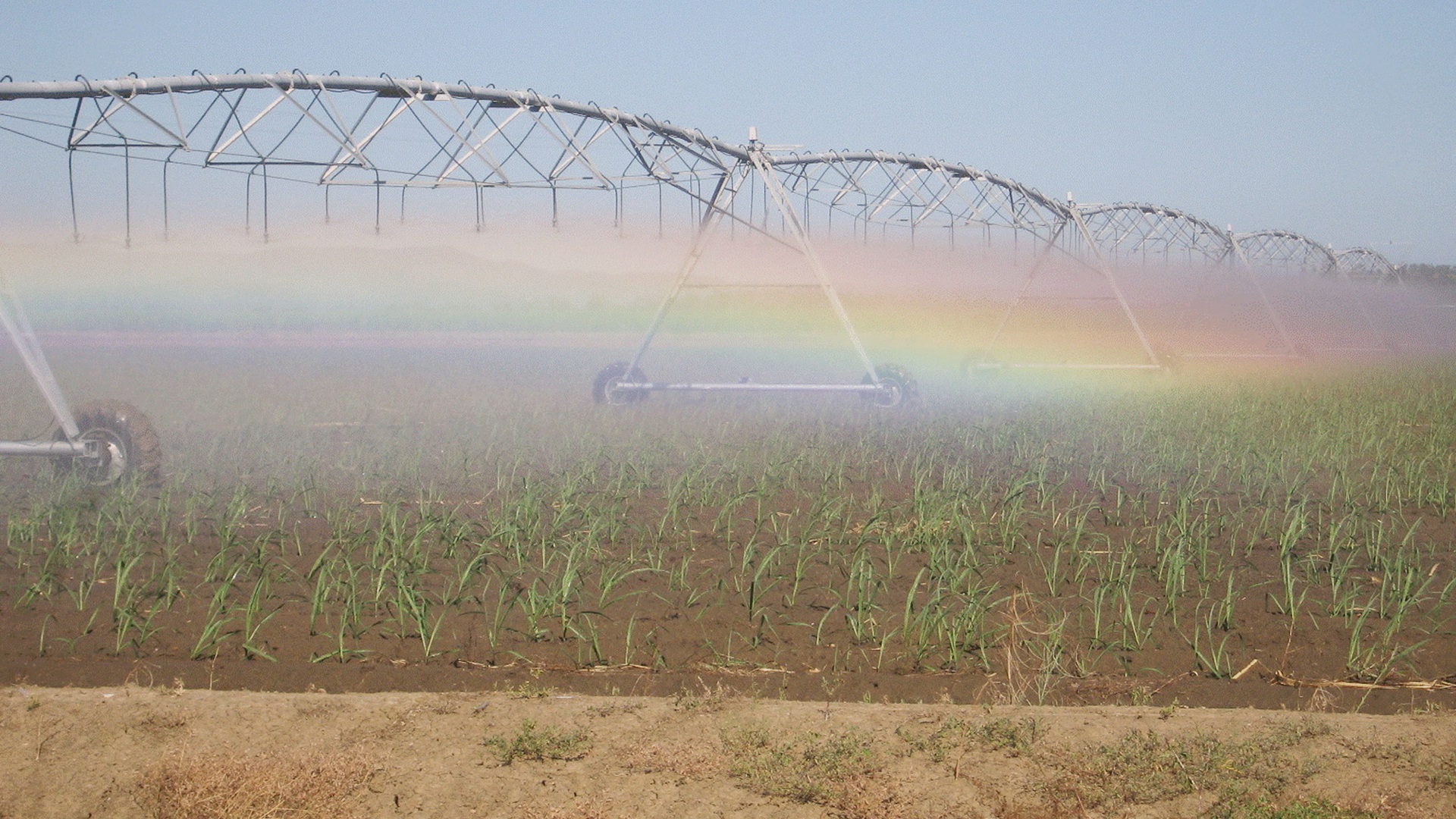 Irrigation segment